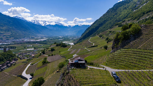 Vendanges 2024