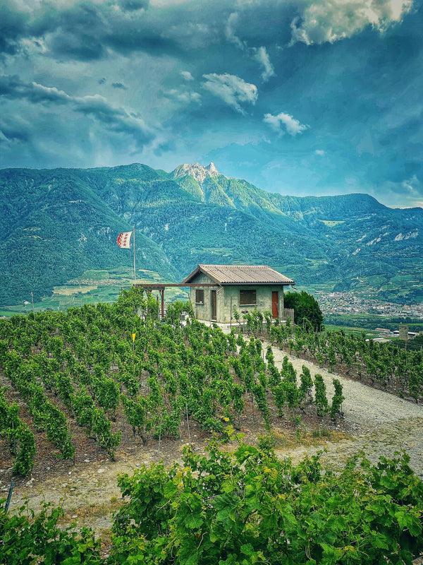 La Guérite 1814 : Expérience unique au coeur de notre vignoble