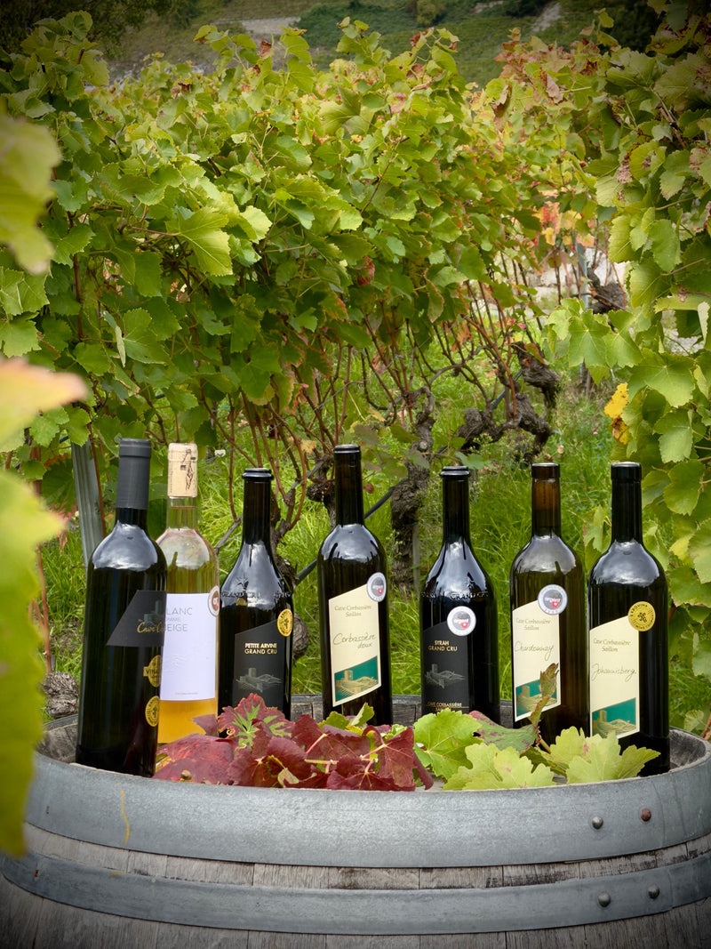 Sélection "Découverte"